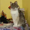 Отзыв от Римма Сафонова